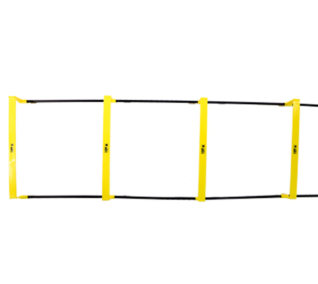 PREMIUM LADDER 8m